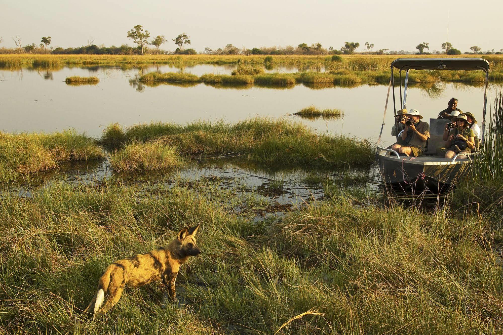 Selinda Camp Hotel Selinda Reserve Екстериор снимка