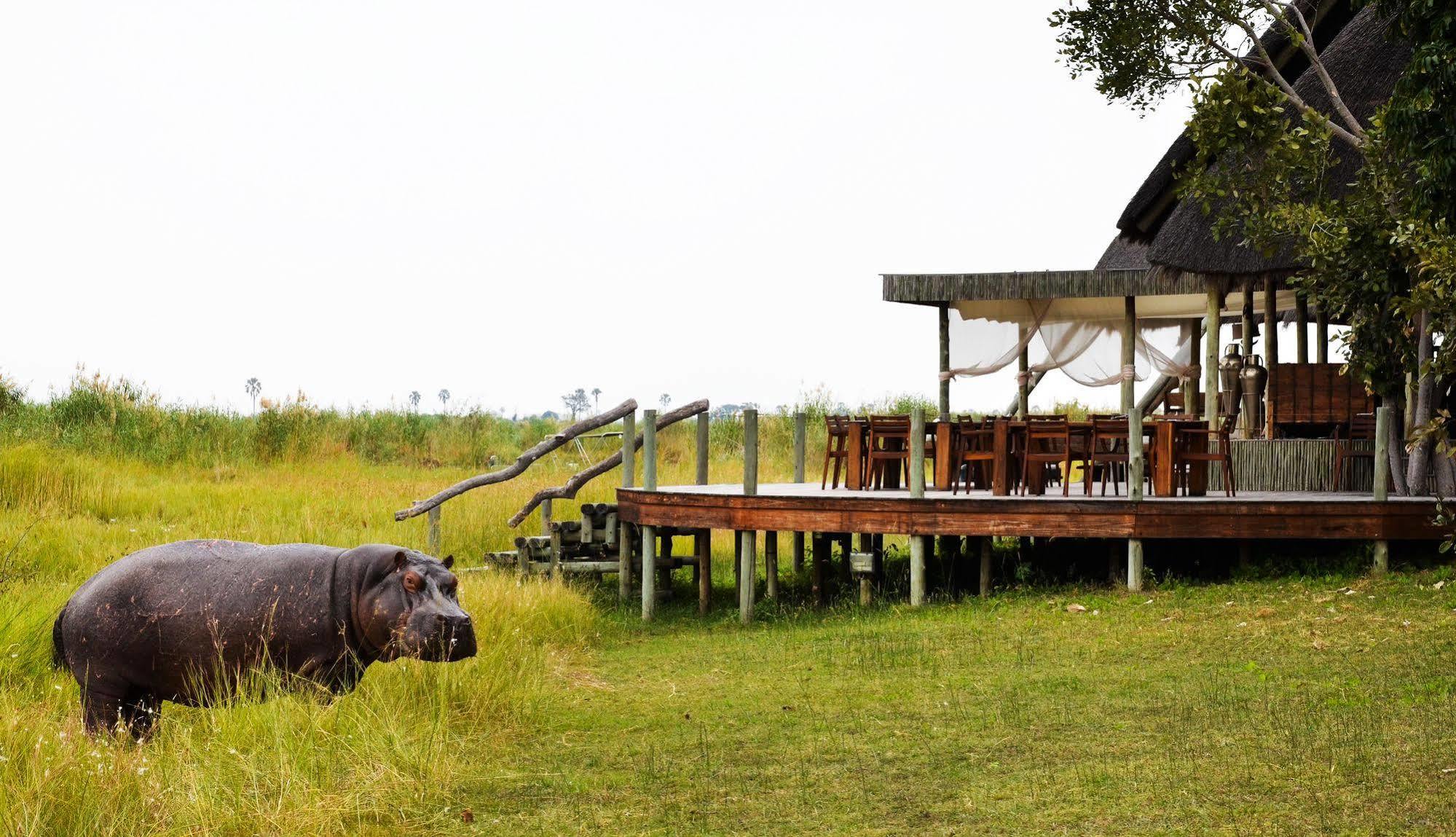 Selinda Camp Hotel Selinda Reserve Екстериор снимка